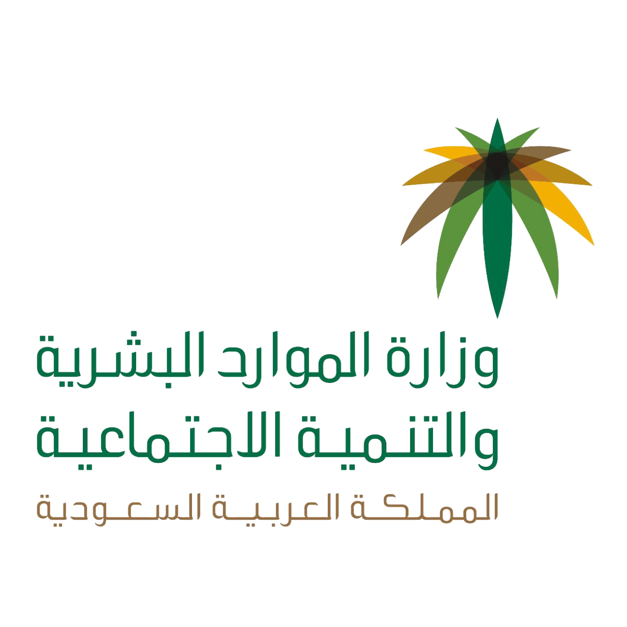 وزارة الموارد البشرية و التنمية الإجتماعية